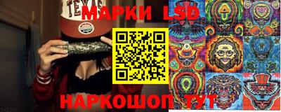 гидропоника Пушкино