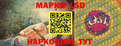 гидропоника Пушкино